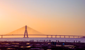 worli sea link